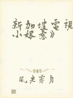 新加坡电视剧《小娘惹》封面