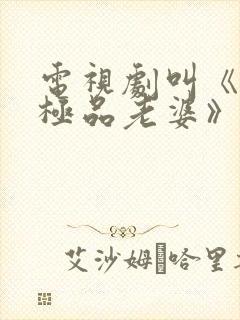 电视剧叫《我的极品老婆》