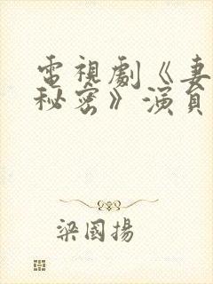 电视剧《妻子的秘密》演员表