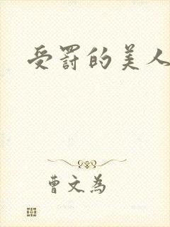 受罚的美人训诫封面