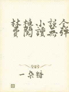 林栋小说全文免费阅读无弹窗