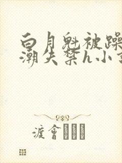 白月魁被躁到高潮失禁h小说封面