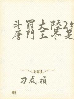 斗罗大陆2绝世唐门王冬是男还是女封面