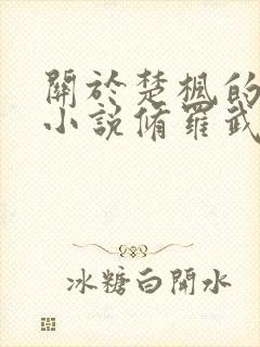 关于楚枫的玄幻小说修罗武神