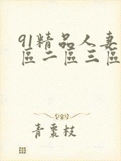91精品人妻一区二区三区中文字幕