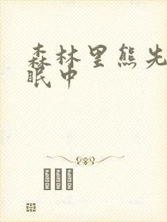 森林里熊先生冬眠中