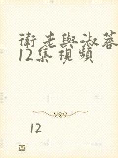 卫老与淑蓉7一12集视频