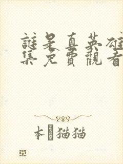 谁是真英雄40集免费观看