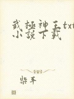 武极神王txt小说下载