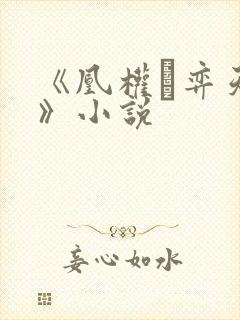 《凰权·弈天下》小说封面