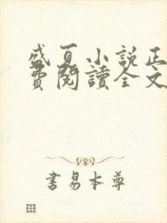 盛夏小说正版免费阅读全文无弹窗封面