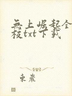 无上崛起全本精校txt下载