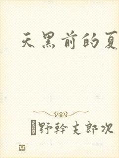 天黑前的夏天