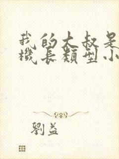 我的大叔是饿狼机长类型小说