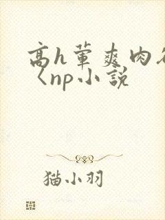 高h荤爽肉欲文〈np小说