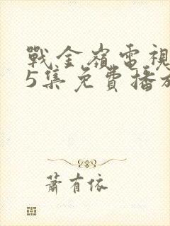 战金岭电视剧45集免费播放