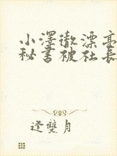 小泽彻漂亮人妻秘书被社长侵犯