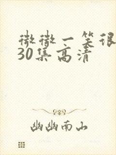 微微一笑很倾城30集高清