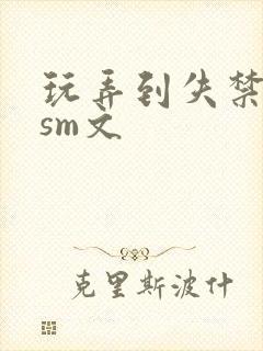 玩弄到失禁高hsm文