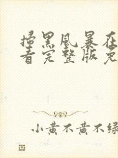 扫黑风暴在线观看完整版免费观看