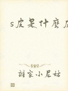 s皮是什么皮