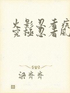 火影忍者疾风传究极忍者风暴4