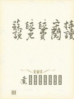 苏皎皎宋持的小说免费阅读