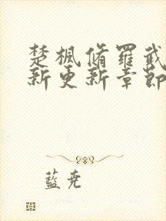 楚枫修罗武神最新更新章节