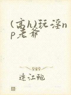 (高h)玩淫np老爷