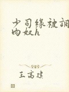 少司缘被调教成肉奴h