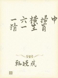 一六横扫中四五猜一生肖