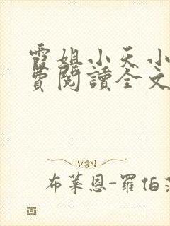 霞姐小天小说免费阅读全文无弹窗