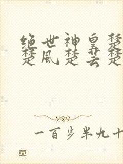 绝世神皇楚风(楚风楚芸楚鸿飞)封面