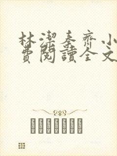 林洁秦齐小说免费阅读全文最新章节封面