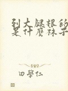 到大腿根的袜子是什么袜子