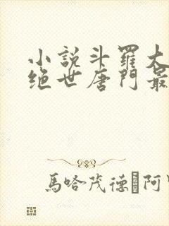 小说斗罗大陆2绝世唐门最新章节列表