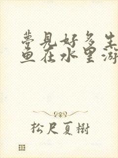 梦见好多生病的鱼在水里游