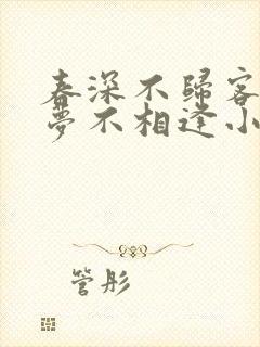 春深不归客,清梦不相逢小说