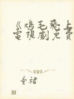 《鸡毛飞上天》电视剧免费观看