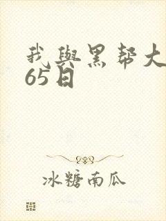 我与黑帮大佬365日封面