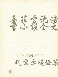 秦菲雪沈浩秦菲雪小说全文免费阅读求书