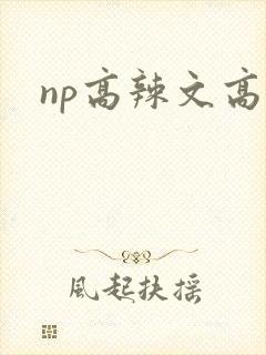 np高辣文高h