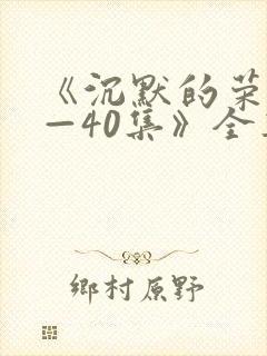 《沉默的荣耀1—40集》全集免费观看