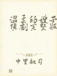 温柔的嫂子2电视剧完整版高清在线观看