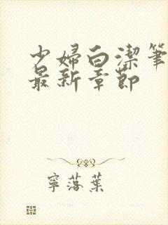 少妇白洁笔趣阁最新章节