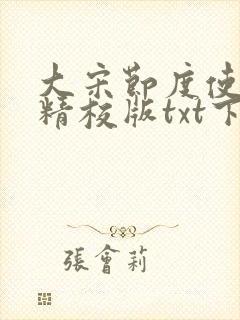 大宋节度使完本精校版txt下载