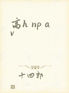 高h np av