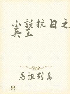 小说抗日之铁血兵王