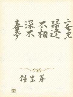 春深不归客,清梦不相逢免费