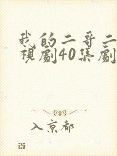 我的二哥二嫂电视剧40集剧情介绍